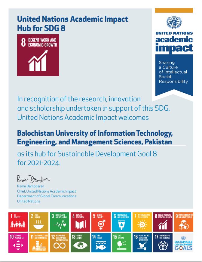 SDG8